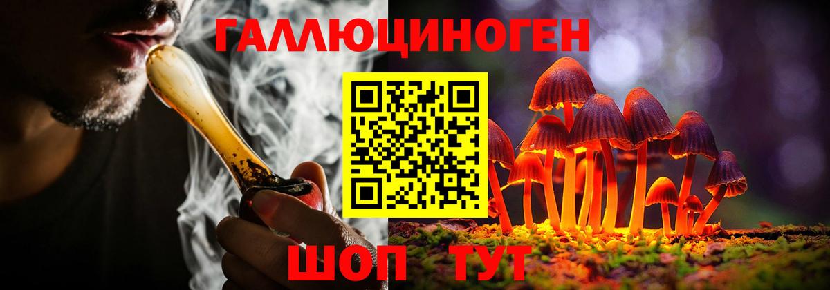 Псилоцибиновые грибы Юрга